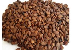 ISLAK KARPUZ ÇEKİRDEĞİ 1 KG
